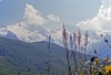 Paysages