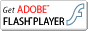 Download Flash player